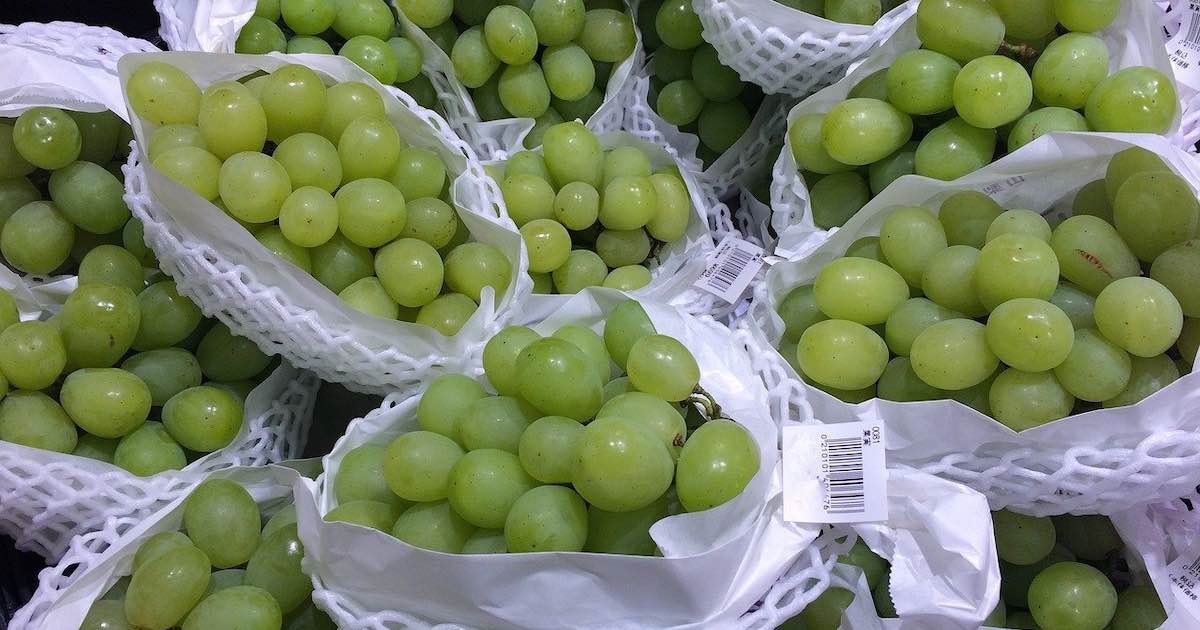 ふるさと納税：ワンストップ特例制度で申請書の返送はスマホで完結