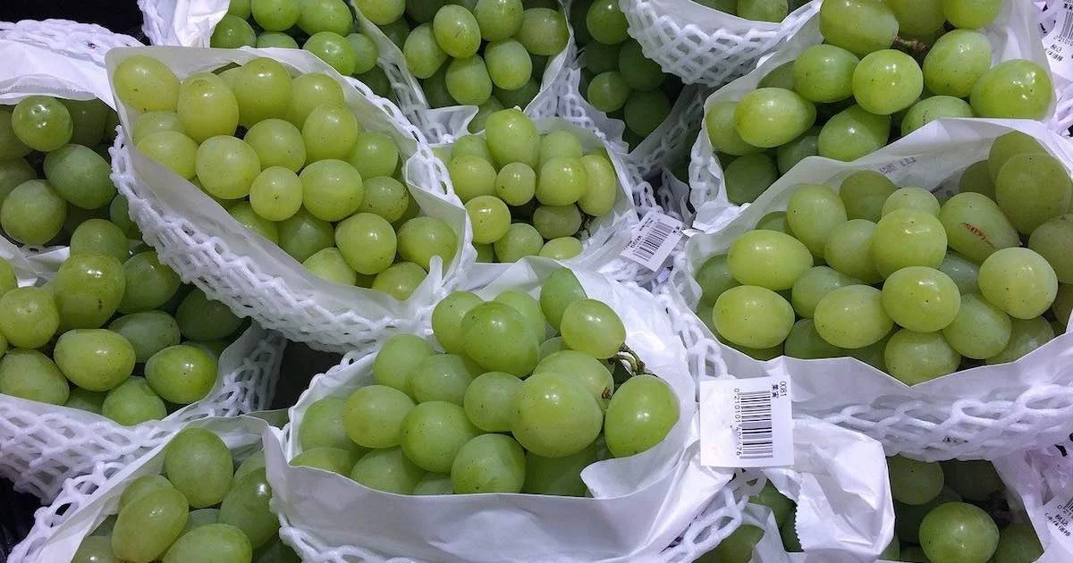 Featured image of post ふるさと納税：ワンストップ特例制度で申請書の返送はスマホで完結