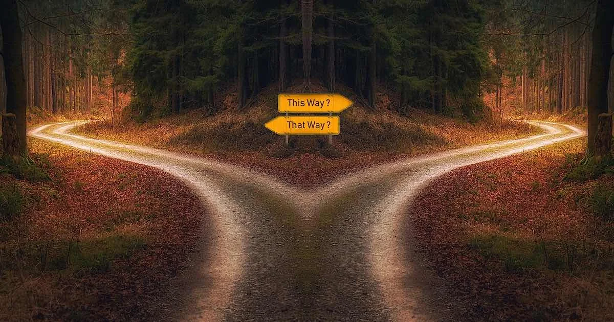 Featured image of post R：データから2値が入っている列名を得る