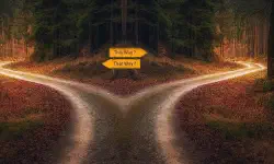 Featured image of post R：データから2値が入っている列名を得る