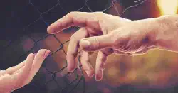 Featured image of post Python：requests で Cookie を引き継いでアクセスする