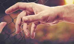 Featured image of post Python：requests で Cookie を引き継いでアクセスする