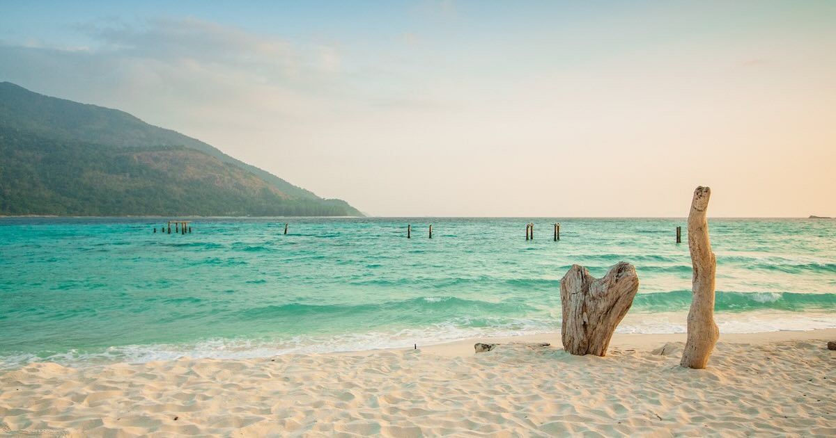 Python：指定した名前のロガーがあるか確認する