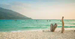 Featured image of post Python：指定した名前のロガーがあるか確認する