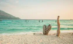 Featured image of post Python：指定した名前のロガーがあるか確認する