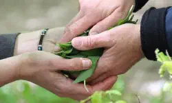 Featured image of post Python：logging で exc_info をデフォルトで True にする