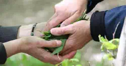 Featured image of post pytest：共通の前処理/後処理を作成する